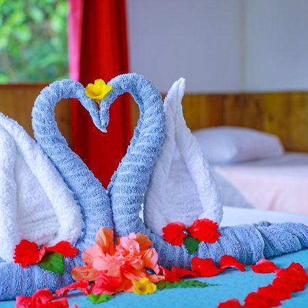 The Sunset Tucano Lodge Drake Bay Ngoại thất bức ảnh