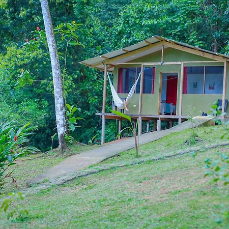 The Sunset Tucano Lodge Drake Bay Ngoại thất bức ảnh