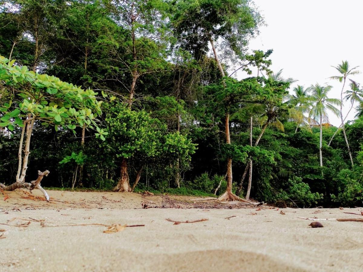 The Sunset Tucano Lodge Drake Bay Ngoại thất bức ảnh