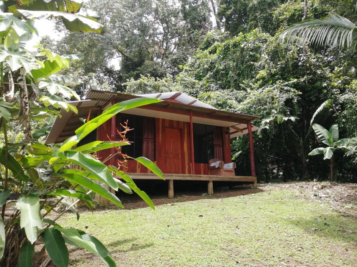 The Sunset Tucano Lodge Drake Bay Ngoại thất bức ảnh